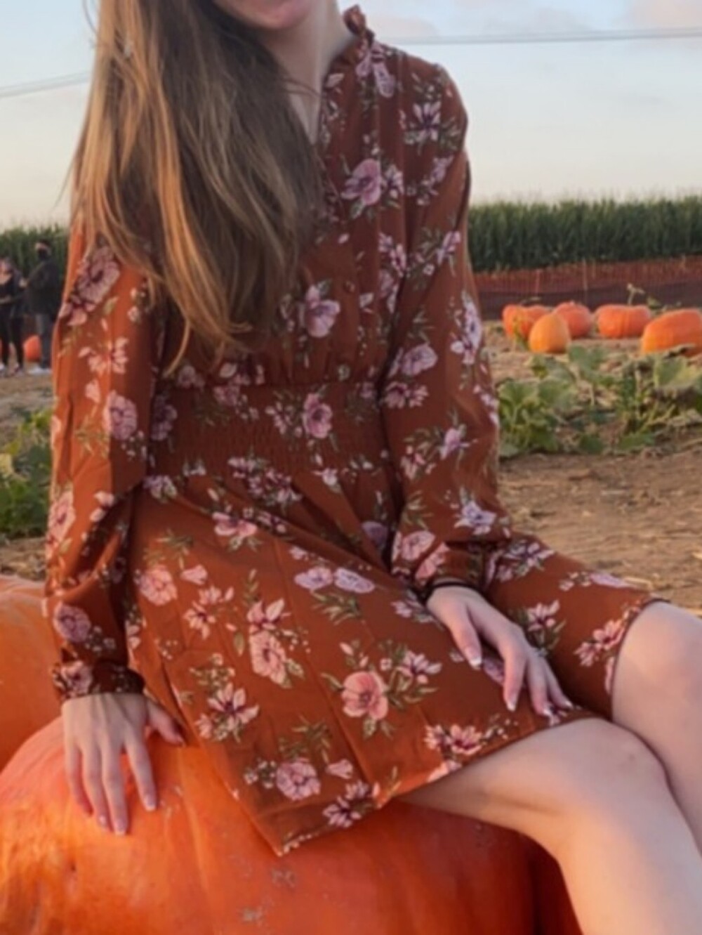 Burnt Orange Floral Long-Sleeve Cinched Waist Dress